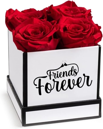 Soho Floral Arts Best Friend Roses | Genuine Roses that Last for Years | Best Friend For Women Friendship Gift | Flowers For Delivery | Best Friend Birthday Gifts Rose Box