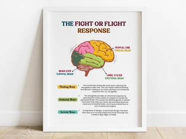 Trauma Therapy The Fight Or Flight Response Poster, Teen Mental Health, Counseling Office Decor, Social Worker Office Art, Cognitive Distortion, Cognitive Distortion Vertical Poster And Canvas