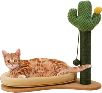 Cat Scratching Post with Bed, Cute Cactus Cat Scratcher for Large Cats and Kittens, 24.4" Tall Scratching Post for Indoor Cats, Cat Claw Scratchers & Home Decorating