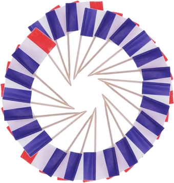 200pcs Celebrations France Hand Held Mini Flags Decorative France Hand Flags Mini French Stick Flags Small Flag Cupcake Pick Cheese Usa Flag Party Decorations Fancy Paper Wooden