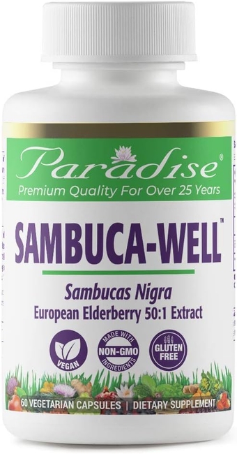 Sambuca Well, Sambucas Nigra, European Elderberry 50:1 Extract, Vegan, Non GMO, Gluten Free, 60 Vegetarian Capsules