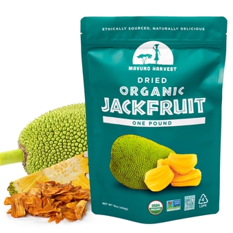 Jackfruit Dried Fruit Snacks | Unsweetened Organic Dried Jackfruit Chips | Gluten Free Healthy Snacks for Kids and Adults | Vegan, Non GMO, Direct Trade | 1 Pound Bag