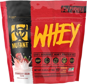 Whey Protein Supplement (Strawberry Cream)