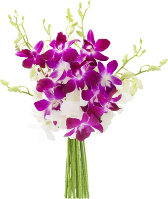 PRIME NEXT DAY DELIVERY - Spring Easter Collection - Exotic Opal Orchid Bouquet of Purple and White Orchids .Gift for Birthday, Anniversary,Thank You, Easter, Mother’s Day Fresh Flowers