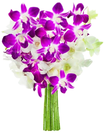 PRIME NEXT DAY DELIVERY - Exotic Opal Orchid Bouquet of Purple and White Orchids.Gift for Birthday, Sympathy, Anniversary, Get Well, Thank You, Valentine, Mother’s Day Fresh Flowers